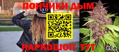 гашик Обнинск
