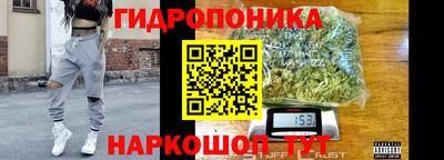 гашик Обнинск