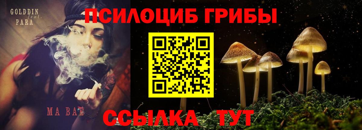 Псилоцибиновые грибы MAGIC MUSHROOMS Серов